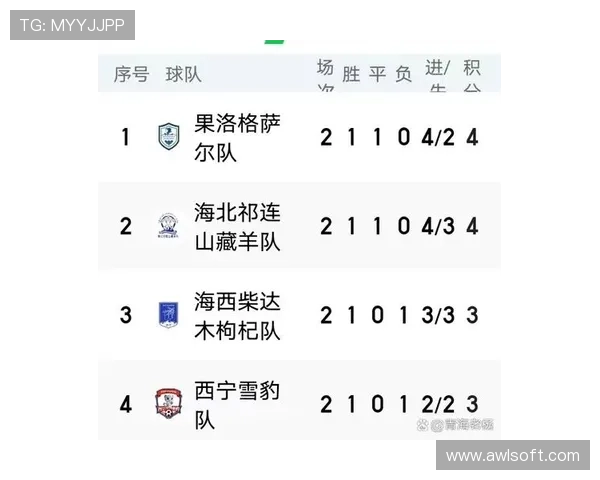 2025赛季沙超联赛最新积分榜出炉强队激战榜首竞争进入白热化阶段